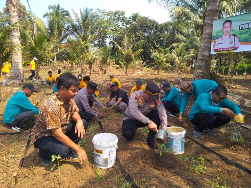 Polsek Carita Tanam Pohon Kelor Dengan Sejuta Manfaatnya 9 WhatsApp Image 2023 09 01 at 11.17.39