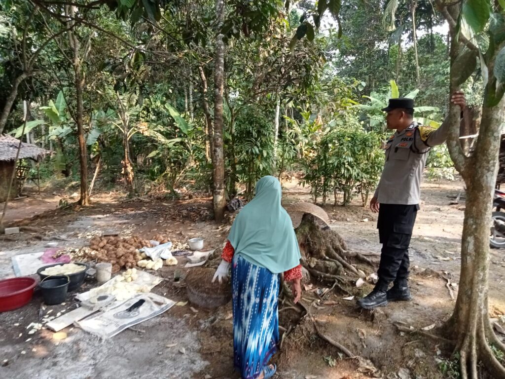 WhatsApp Image 2023 09 11 at 18.20.26