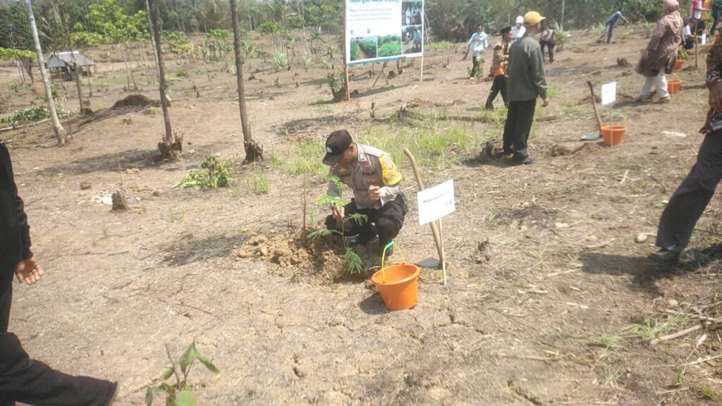 Rekam Nusantara Foundation, Polsek Munjul Bersama Stakeholder Bagikan 35.000 Bibit Pohon Sengon 5 WhatsApp Image 2023 11 17 at 08.26.59