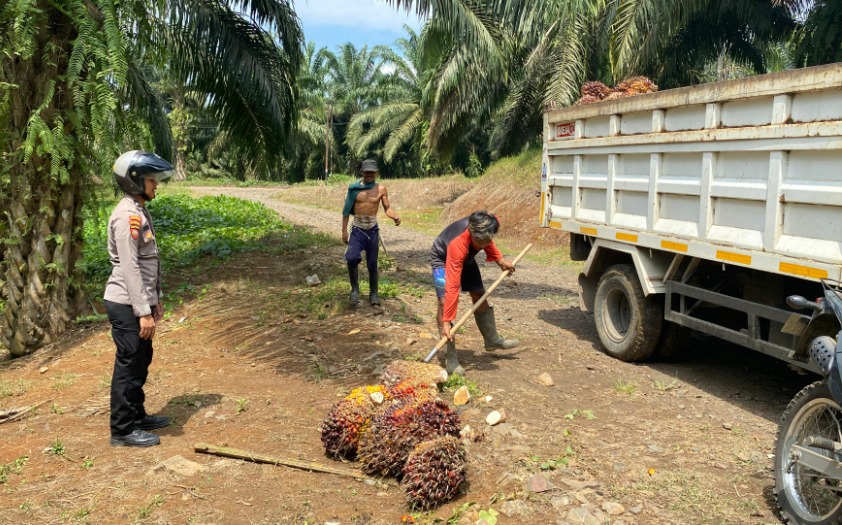 WhatsApp Image 2024 09 15 at 11.01.29