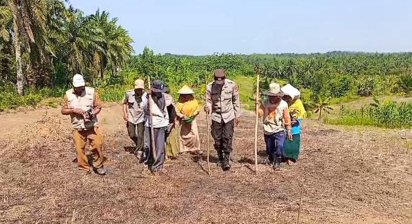 Polsek Cikeusik Hadir untuk Petani, Penanaman Jagung Hibrida Program CPCL 2026 Dorong Produktivitas Pertanian 6 jagung